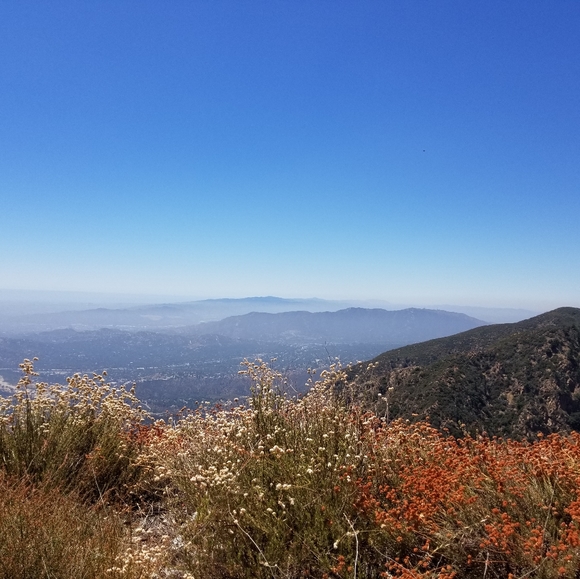 Meet your Posher, Erica - Picture 8 of 9